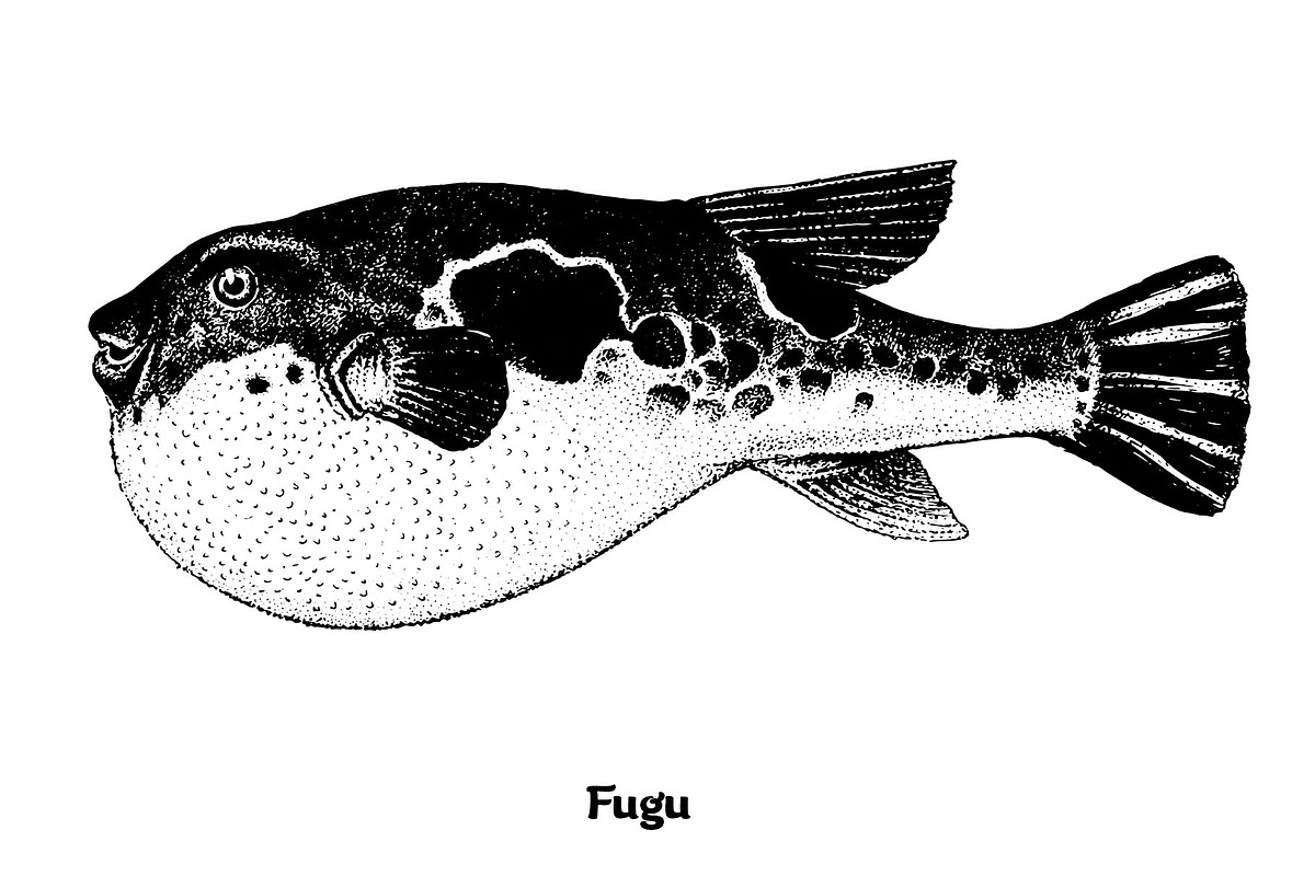 Fish collection, part 4, an Illustration by ZotovShop (Photo 6 of 11)