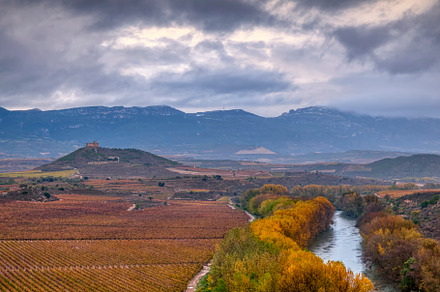 Vineyards in La Rioja, Spain., a Nature Photo by CreativePhotoSpain