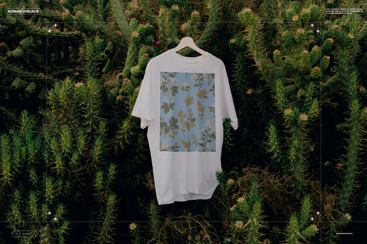 Plants & Flowers Illustrations, a Background Graphic by Nomad Visuals (Photo 9 of 14)