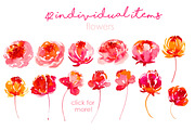 Melania - watercolor floral set, an Illustration by Charushella (Thumbnail 2 of 5)