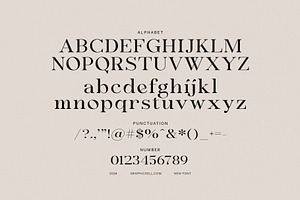 Signer Elegant Serif Font