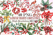 Winter Berry Clipart Christmas Water, an Illustration by Sublimation Artist (Thumbnail 1 of 6)