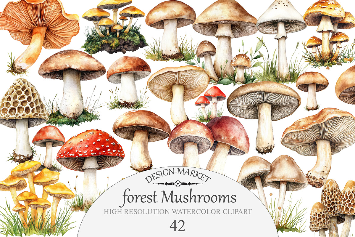 Forest Mushrooms Clipart, an Illustration by Design Market (Photo 1 of 5)