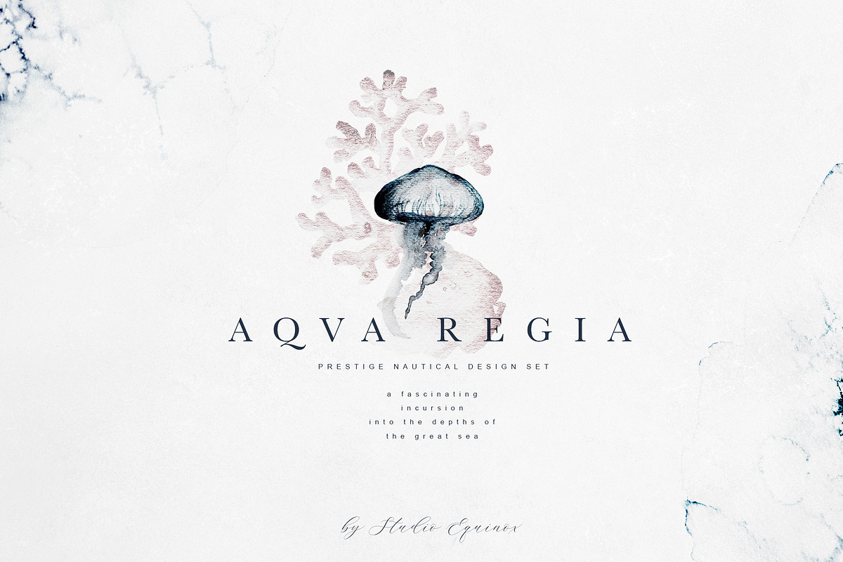 Aqva Regia - Underwater Designer Set, an Illustration by studioequinox (Photo 1 of 9)
