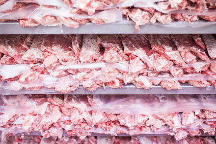 Hygiene in industrial process plant featuring food, freeze, and nobody