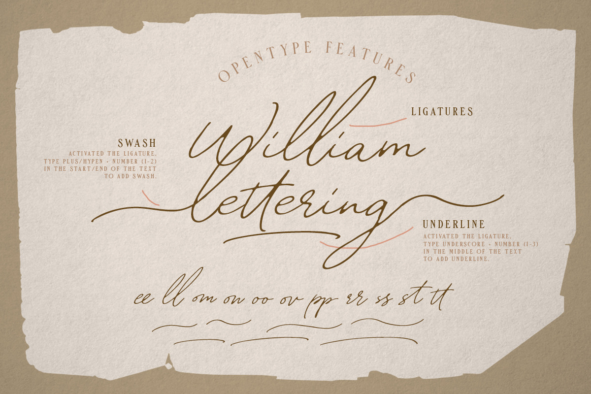 William Letter Signature Script preview 8