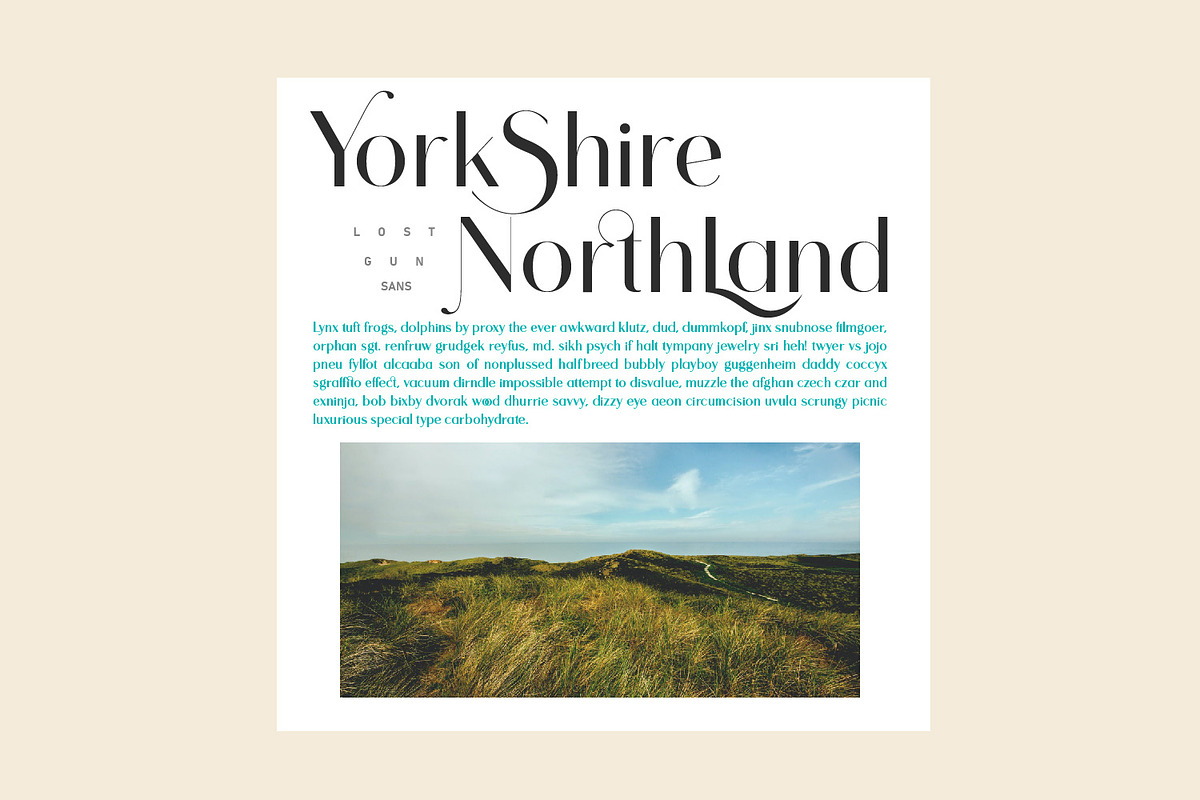 Lostgun Sans | Modern Typeface, a Sans Serif Font by Qaratype (Photo 2 of 17)