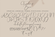 Farmhouse Barn, a Script Font by pineungtype (Thumbnail 5 of 6)