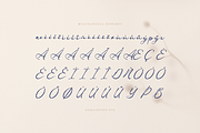 Ranuficah Elegant Calligraphy Script, a Script Font by gracetype_studio (Thumbnail 12 of 12)