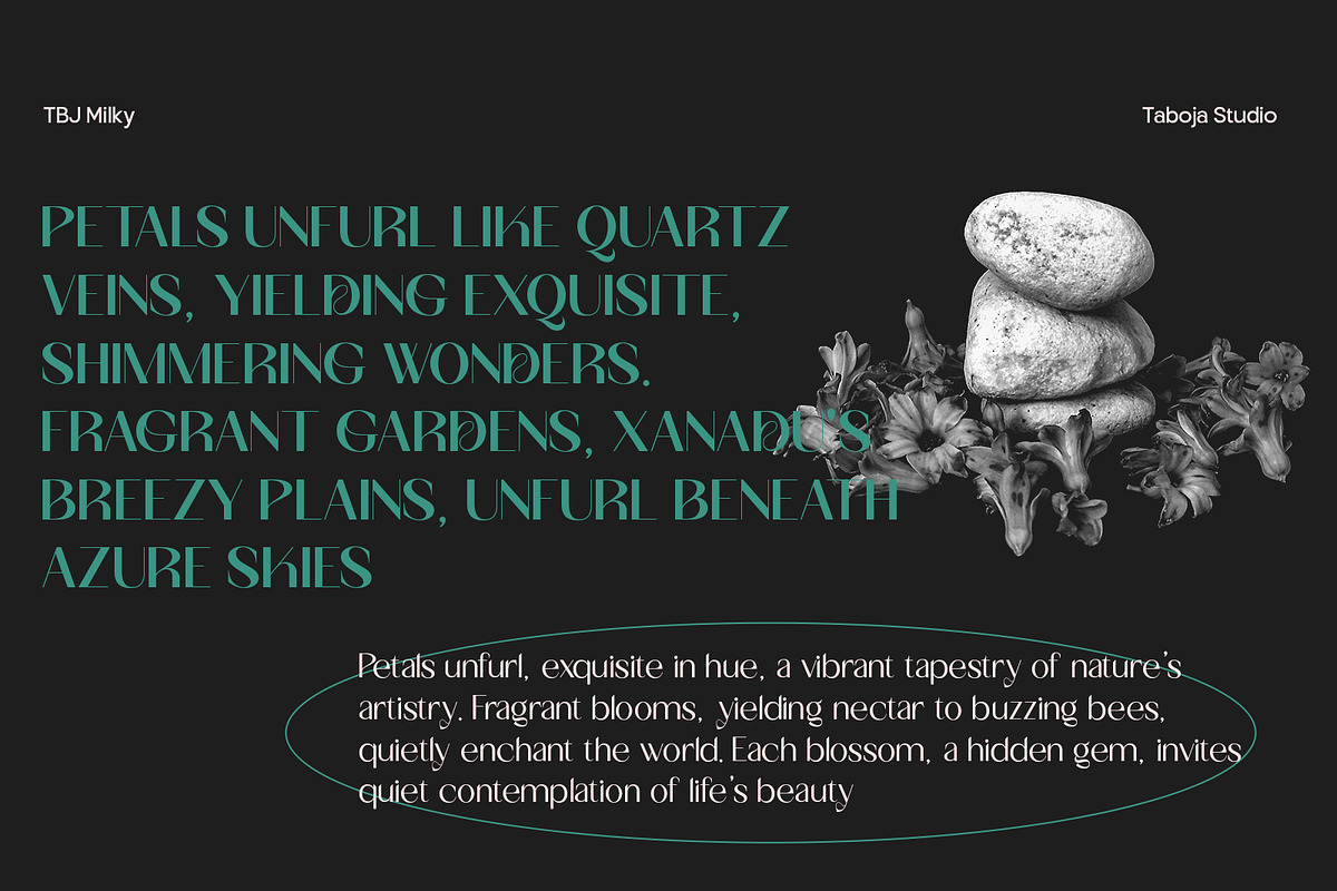 TBJ Milky – 8 Styles Boldly Sans, a Sans Serif Font by Taboja Studio (Photo 13 of 18)