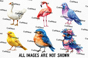Cute Birds Clipart, an Illustration by Craft Nest (Thumbnail 5 of 6)