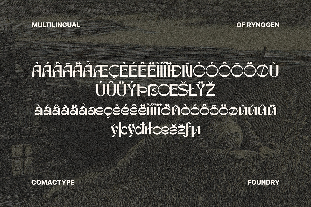 Rynogen - Decorative Typeface, a Sans Serif Font by Comactype Foundry (Photo 13 of 14)