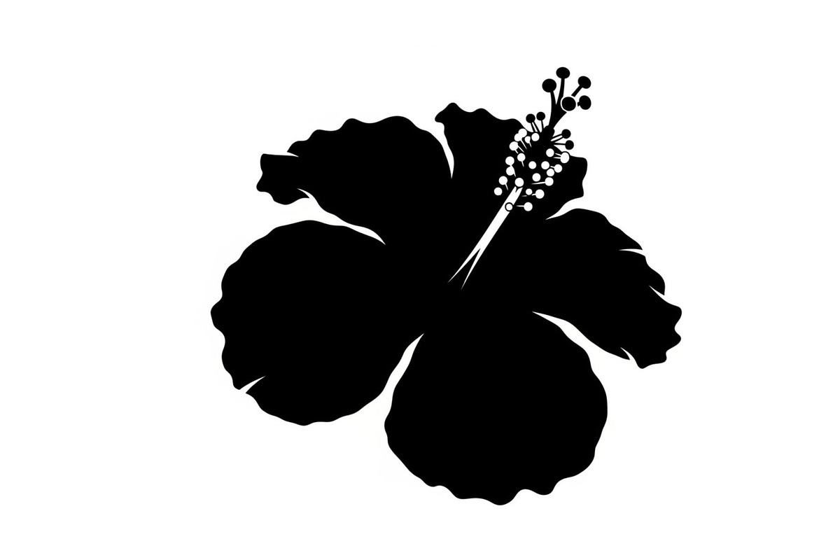 Floral Ornament Silhouette Bundle, an Illustration by BIPLOB EXPERT (Photo 6 of 51)
