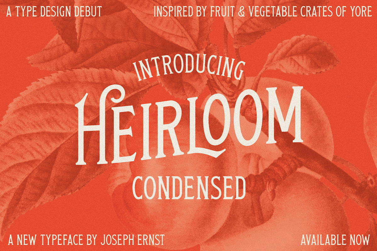 Heirloom Condensed, a Serif Font by Joseph Ernst Design Shop (Photo 1 of 7)