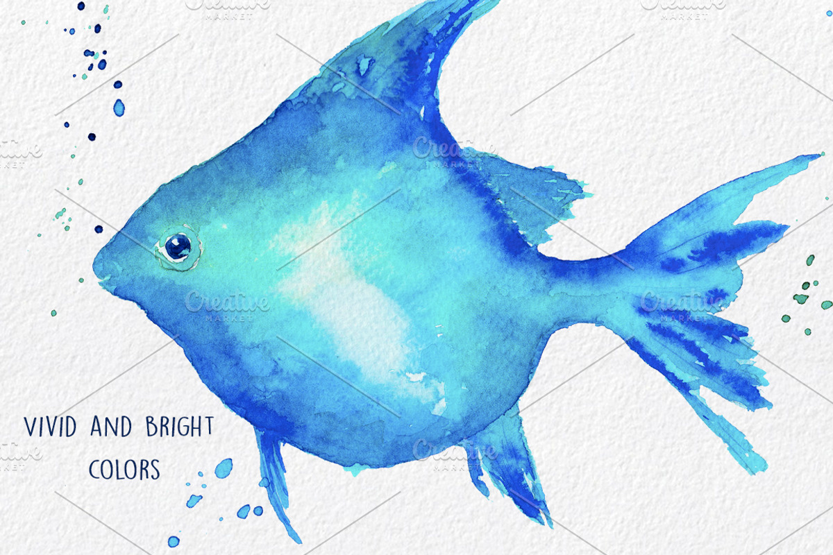Underwater Life ClipArt Watercolor, an Animal Illustration by MaraquelaStudio (Photo 5 of 6)