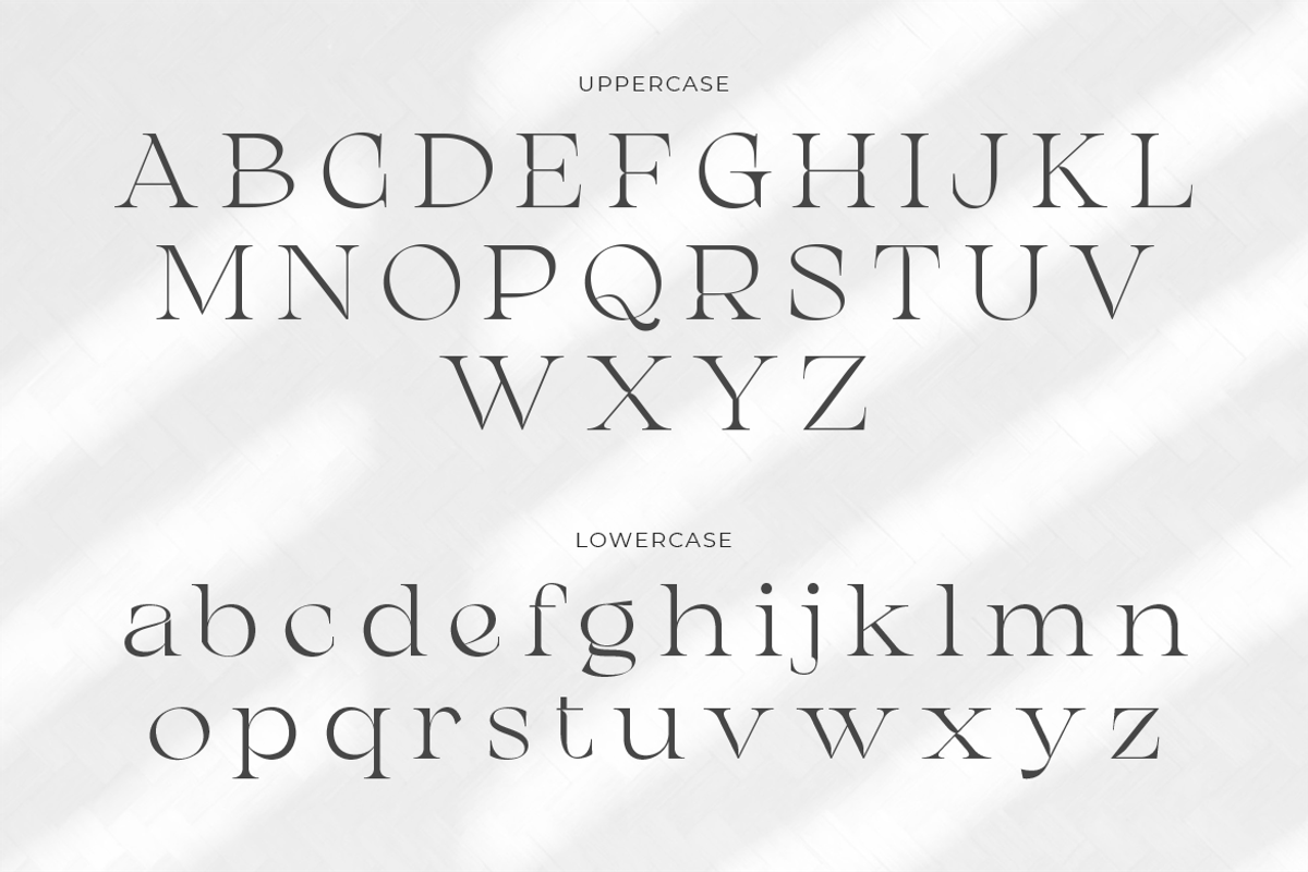 Chanceux Modern Stylish Serif, a Serif Font by Creatype Studio (Photo 7 of 10)