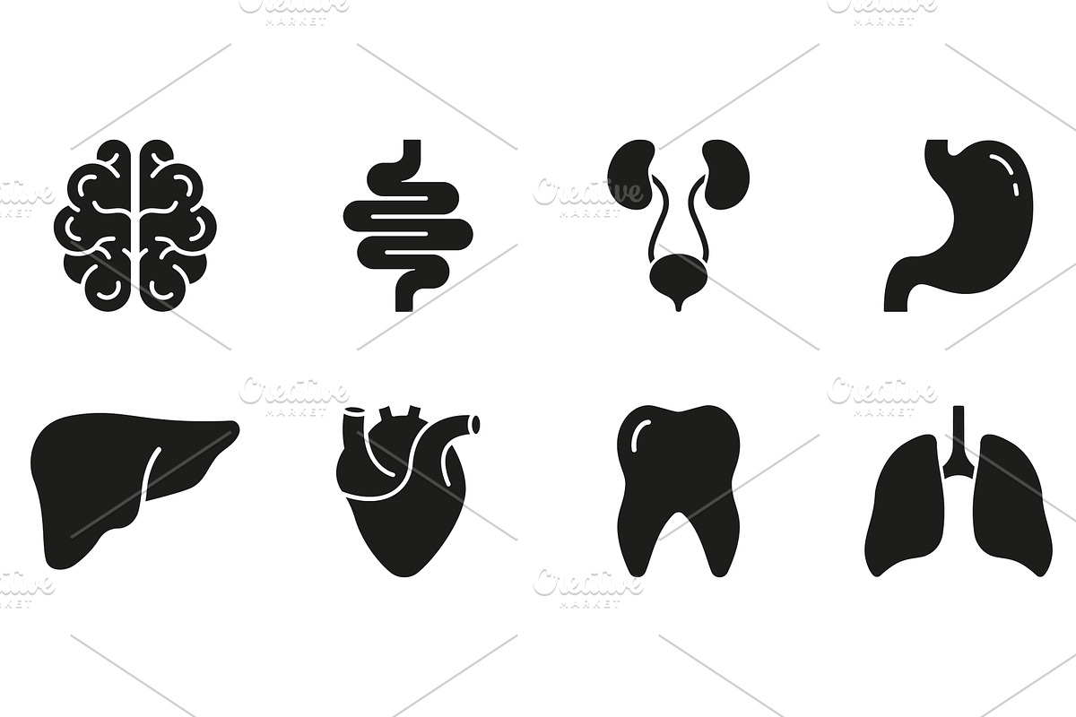 Human Brain, Intestine, Urinary Icon, an Object Illustration by Gentle Studio