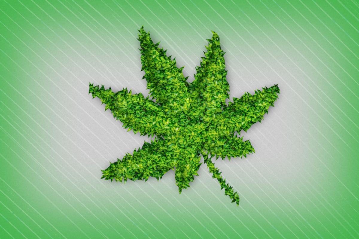 Leaf Text Effect Photoshop Action, an Action Add-On by DESIGNAVO (Photo 6 of 7)