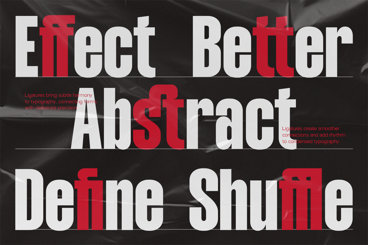NV Dunk – Condensed Sans Serif, a Sans Serif Font by Novaratype (Photo 10 of 15)