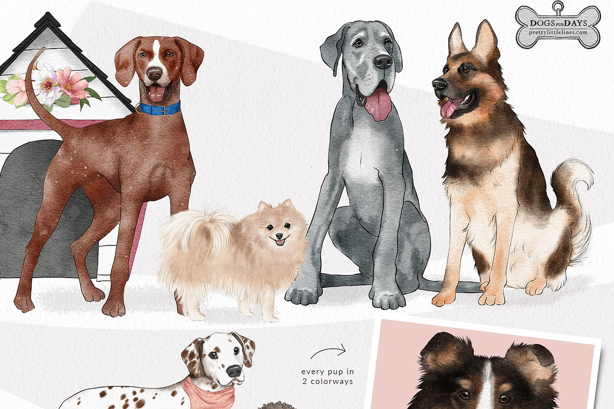 Pet Illustrations Patterns & Borders, a Graphic by Pretty Little Lines (Photo 8 of 29)