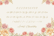 Silverweed - Calligraphy Script Font, a Script Font by Balpirick Studio (Thumbnail 6 of 7)