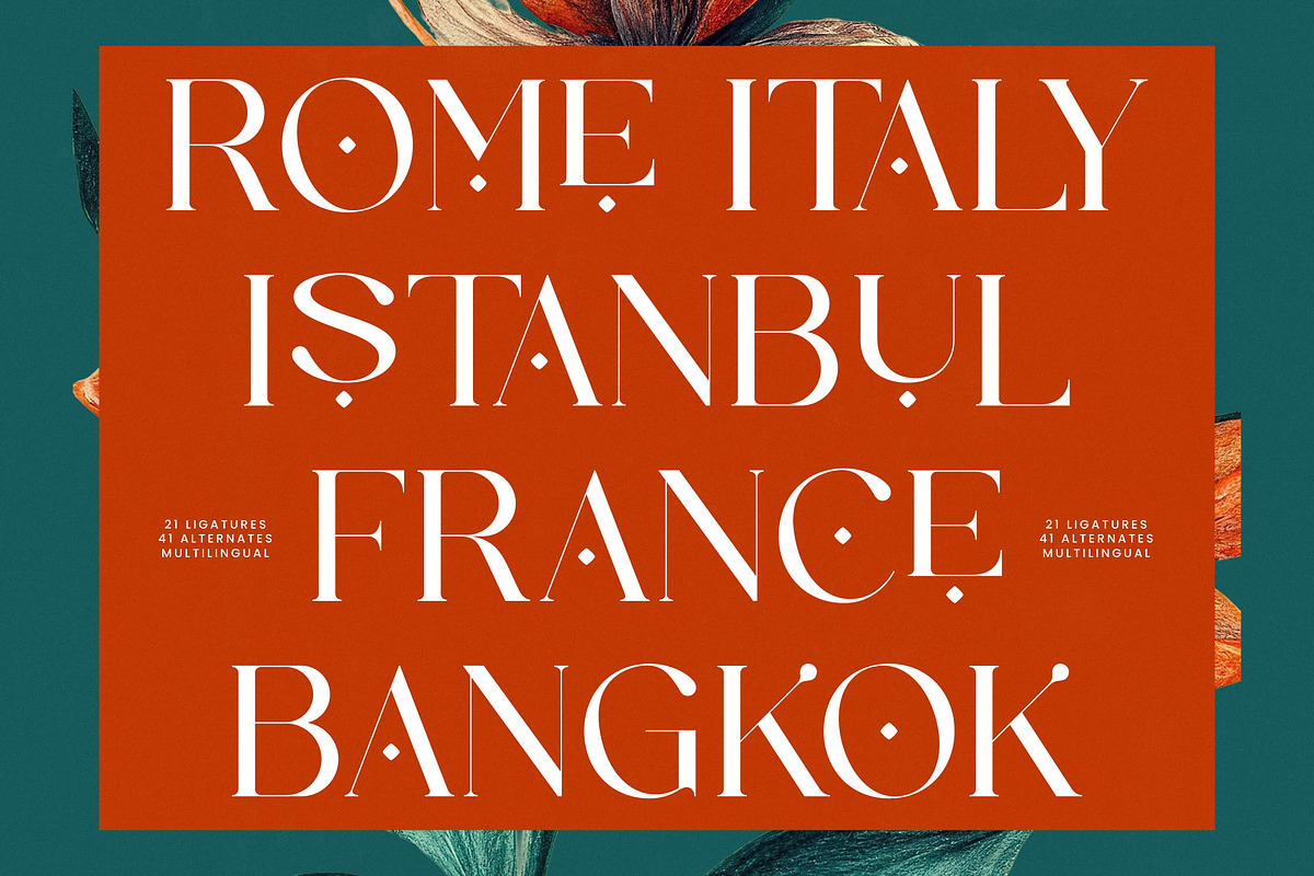 Strikes Against Modern Serif Font, a Serif Font by timelesstype.co (Photo 3 of 20)