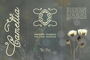 Hour of Dew | Romantic Swash Script, a Script Font by AnMark (Thumbnail 3 of 17)