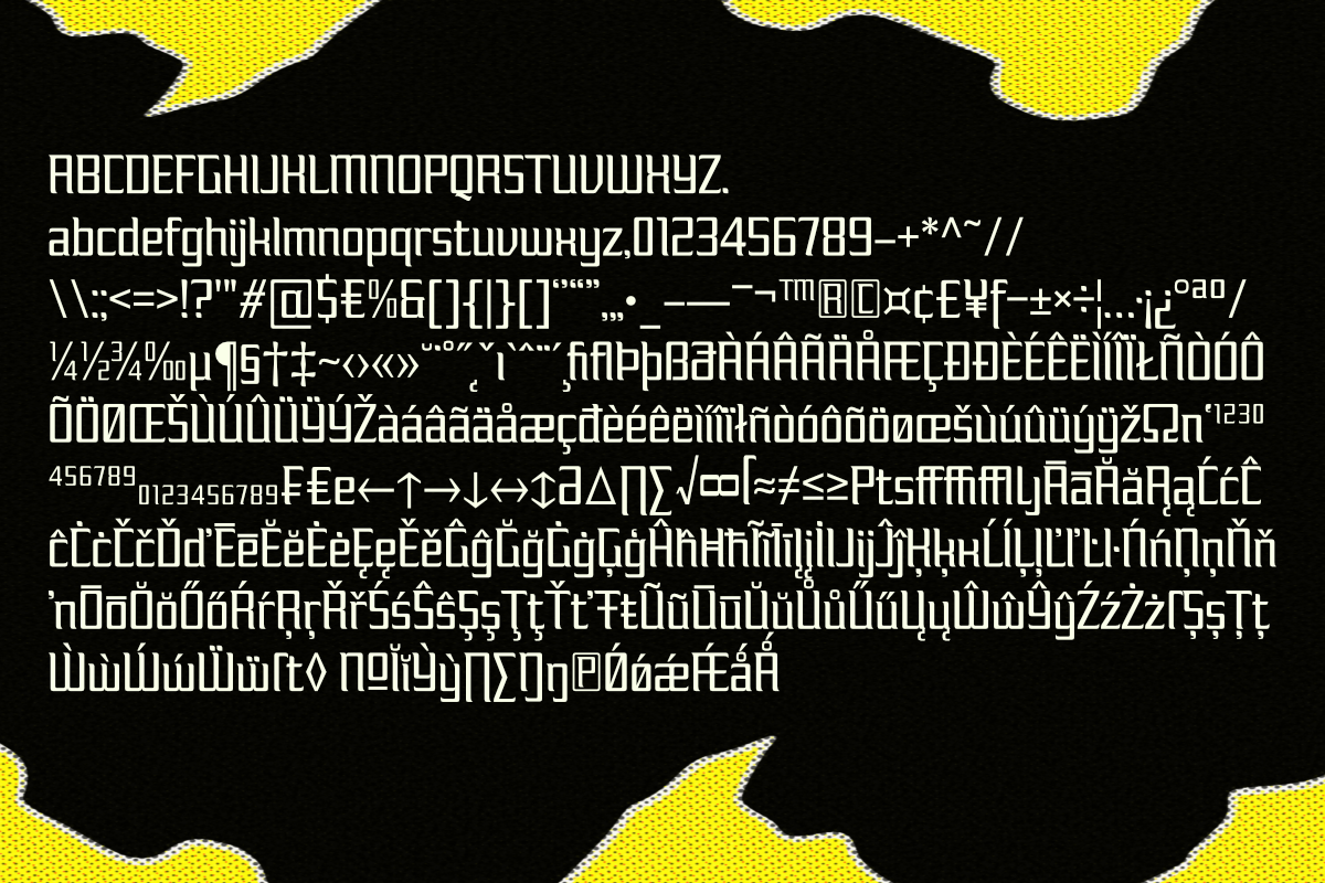 FX Nukari - Serif Display Family, a Serif Font by Differentialtype (Photo 11 of 11)