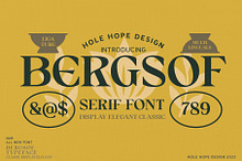 Bergsof | Elegant Classic Font