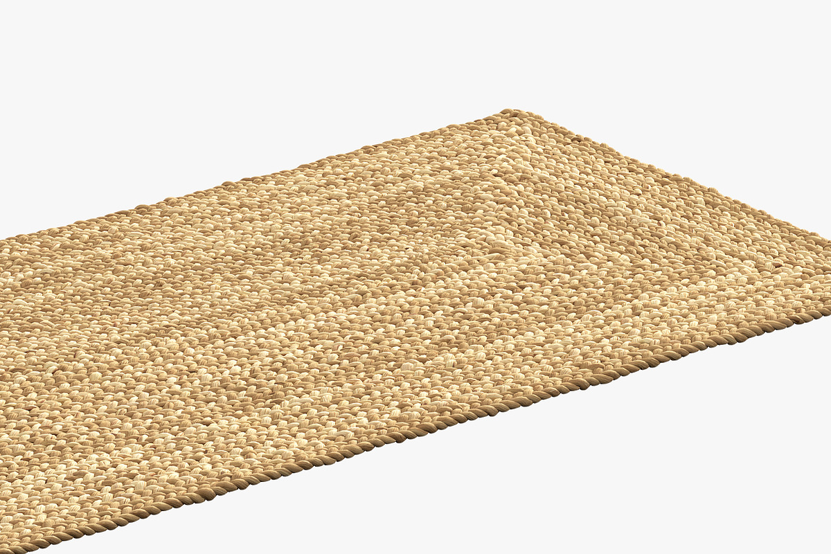 Dina Coastal Jute Rug Runner, a Furniture 3D Model by 3dmitruk (Photo 7 of 14)