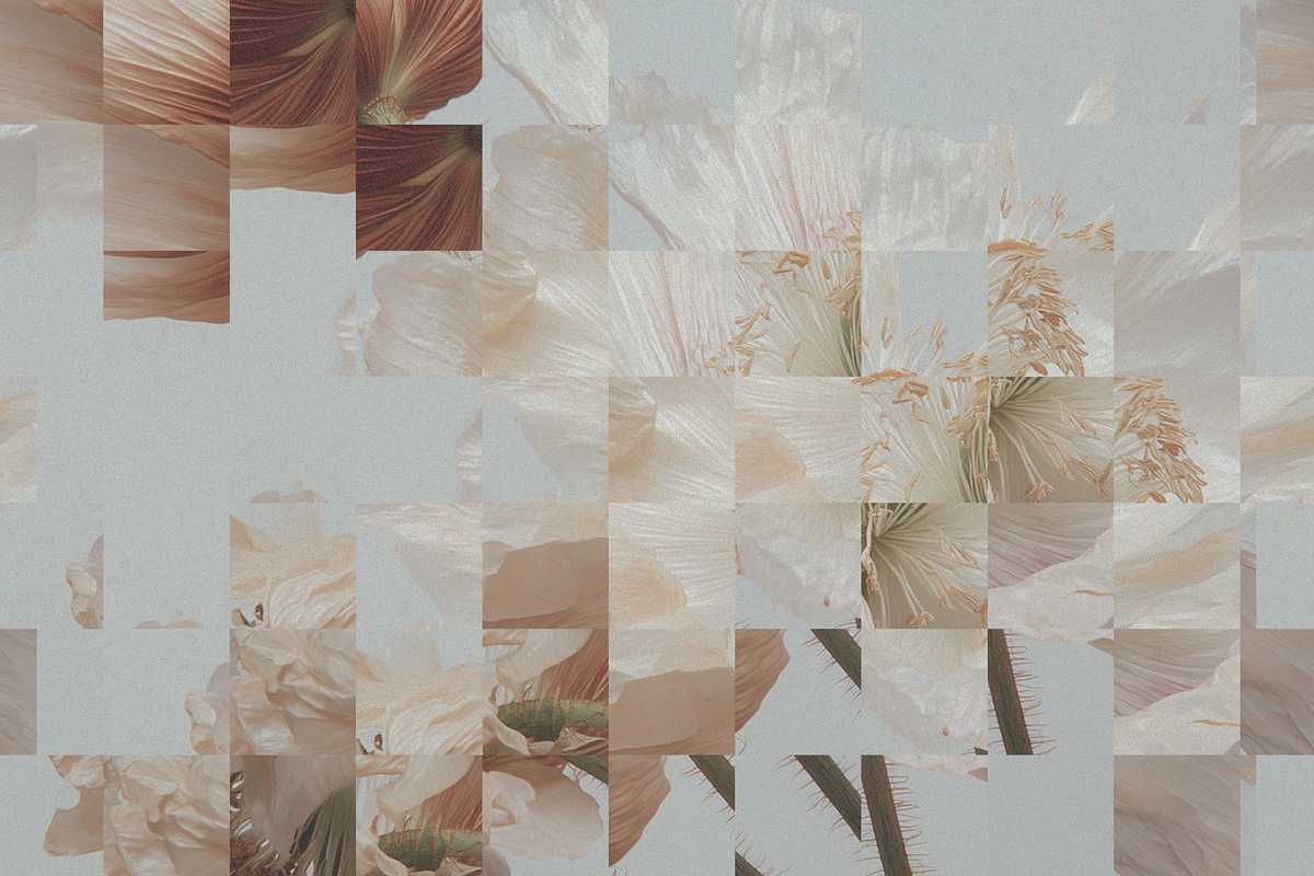 4 Patchwork Unique Effects, an Action Add-On by Kristina&Co (Photo 11 of 16)