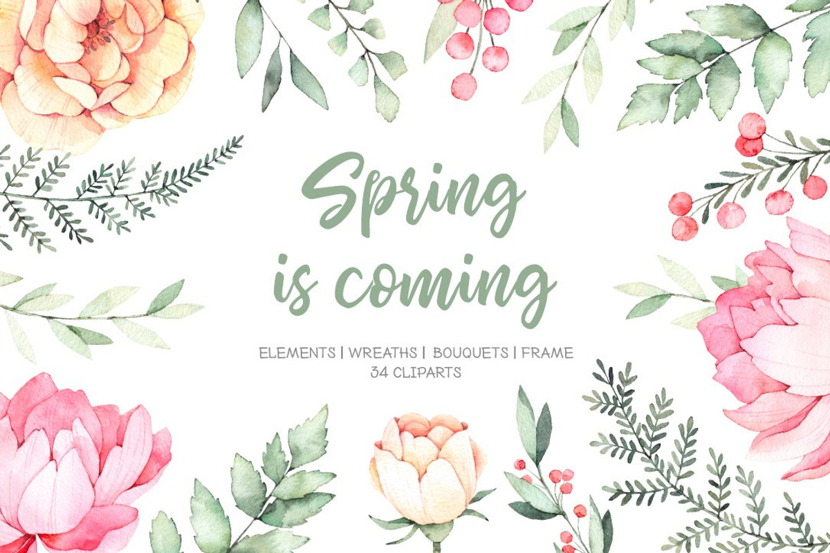 Floral bundle | Watercolor SALE, a Decorative Illustration by Kate Macate (Photo 6 of 28)