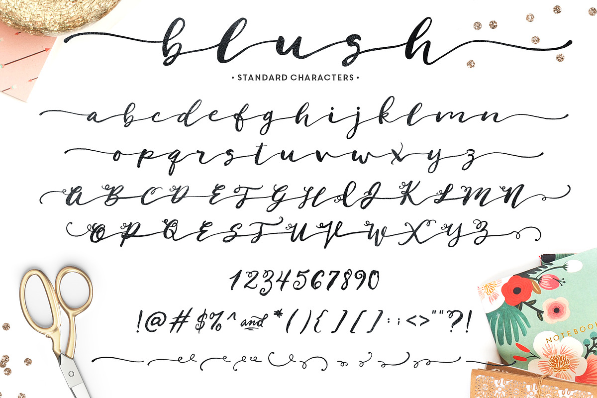The Brush Script Bundle • 60% OFF preview 6