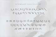 Lionary Modern Serif Font, a Serif Font by Dylla_studio (Thumbnail 11 of 11)