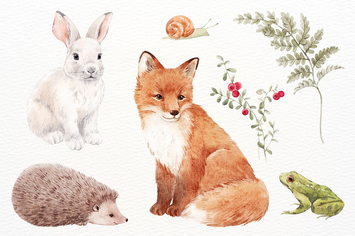 Watercolor Forest Set, a Decorative Illustration by Lembrik's Artworks (Photo 2 of 6)