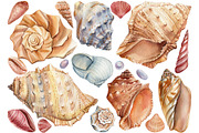 Seashells and fish, watercolor, an Animal Illustration by Hanna Hryharenka (Thumbnail 9 of 20)