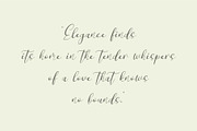 Leitucy Script Font, a Handwritten Font by Panatype™ Studio (Thumbnail 5 of 10)
