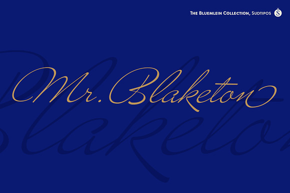 Mr Blaketon Pro preview 7
