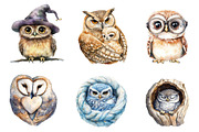 Watercolor Owl & Owlet Clipart, an Illustration by CreationArt (Thumbnail 2 of 5)
