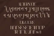 Diseva || Elegant Classy Serif Font, a Serif Font by Ermedia Studio (Thumbnail 9 of 9)