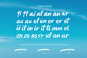 Maldives Holiday, a Handwritten Font by DzikrulAulia (Thumbnail 10 of 10)