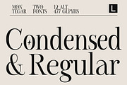 Montegar - Elegant Celestial Serif, a Serif Font by Lettertype Studio (Thumbnail 7 of 15)