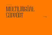 Eliveri Classic Font, a Serif Font by Khoir (Thumbnail 11 of 12)