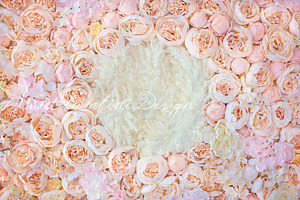 Digital Backdrop Newborn Photography