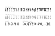 SUNN Line Serif Caps Only Font, a Serif Font by Wild Ones (Thumbnail 2 of 6)