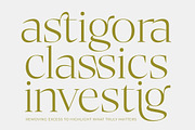 Bigest Karath Thin Serif Display, a Serif Font by timelesstype.co (Thumbnail 3 of 20)