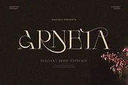 Arneta, a Serif Font by zaaintype (Thumbnail 1 of 11)