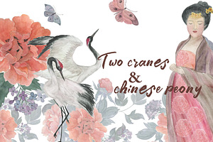 Two cranes and chinese peony