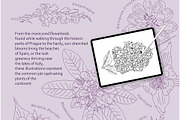 Preserving the bloom 100 flowers, a Decorative Illustration by Visual Animal (Thumbnail 3 of 10)