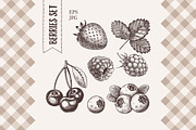 Vintage berry illustration., an Illustration by natadanko (Thumbnail 1 of 3)